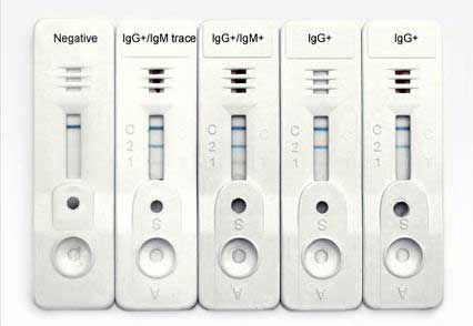 All Rapid Test Cards