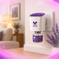 IRIS FRAGRANCE PLUG ON- FRENCH LAVENDER